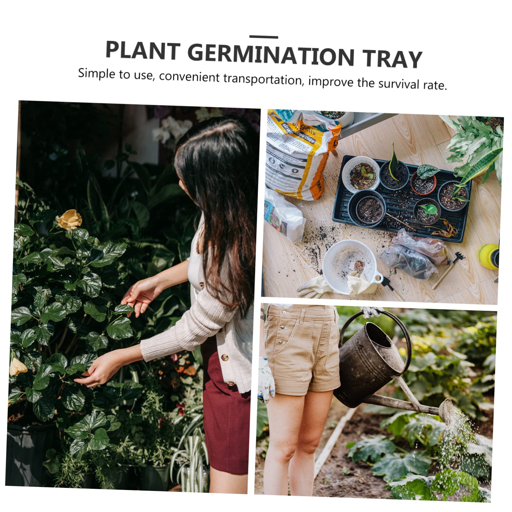 Mipcase 6pièces Lot de Plateaux de Germination à Fond Creux pour Pépinière et Semis de Plantes Micro-pousses