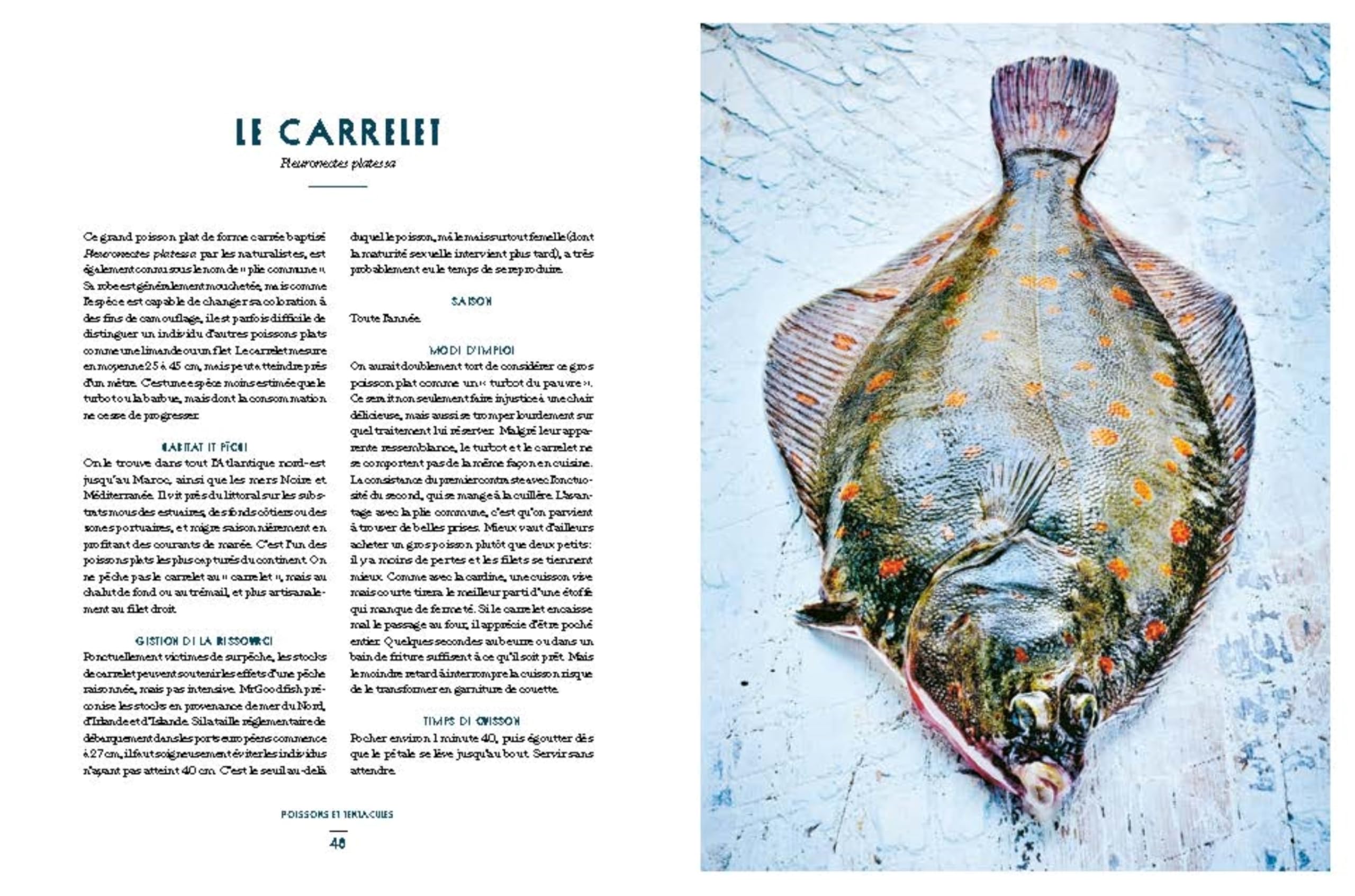 Cuisiner la mer nouvelle édition