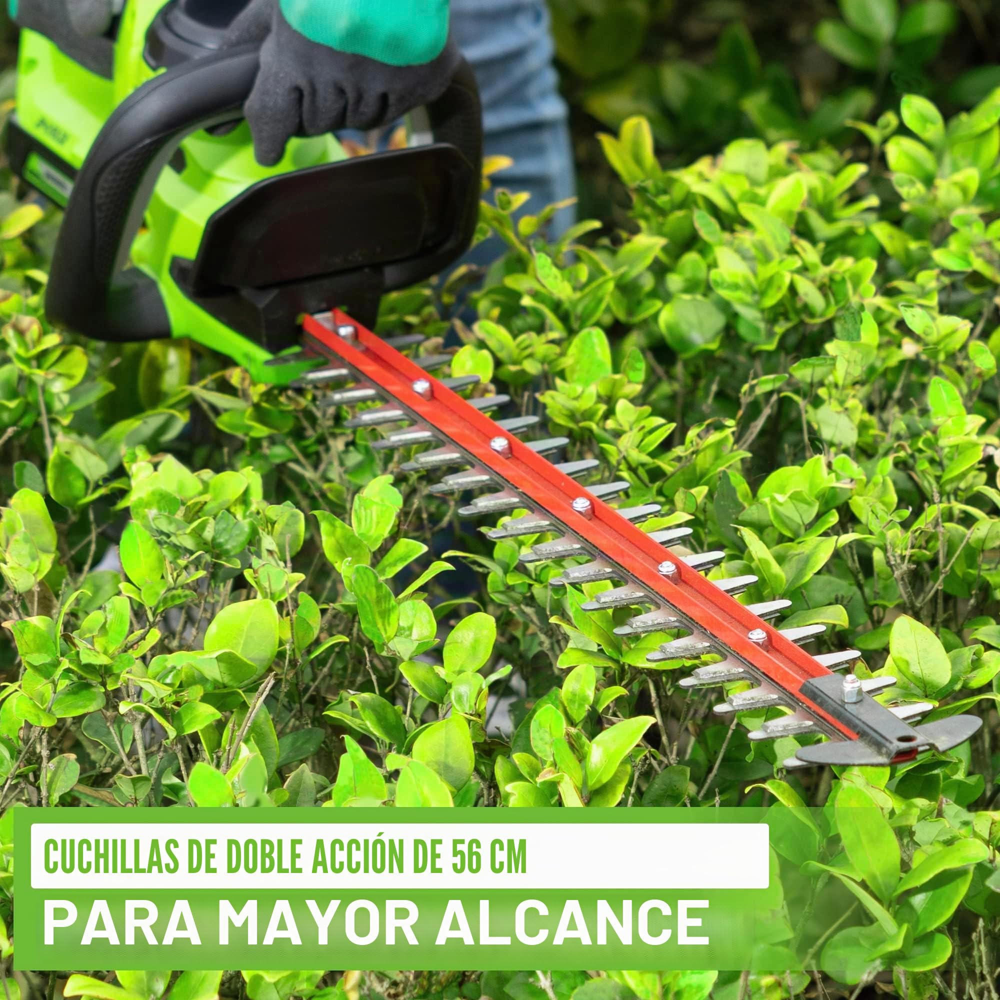 Greenworks Cortasetos inalámbrico 24V G24HT56, Cuchilla de Doble acción de 56cm, Corta Ramas y Tallos de hasta 25,4mm de Grosor y 3000 SPM con batería de 2Ah & Cargador