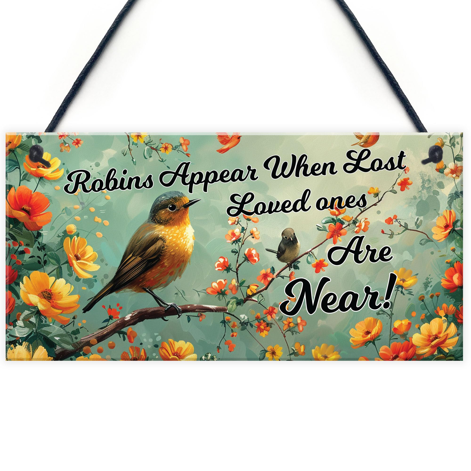 RED OCEAN Garden Plaque Summer House Sign Garden Shed Sign Robins Appear When Lost Loved Ones Are Near Mum Nan Dad Grandad Memorial Gift Memorial Sign