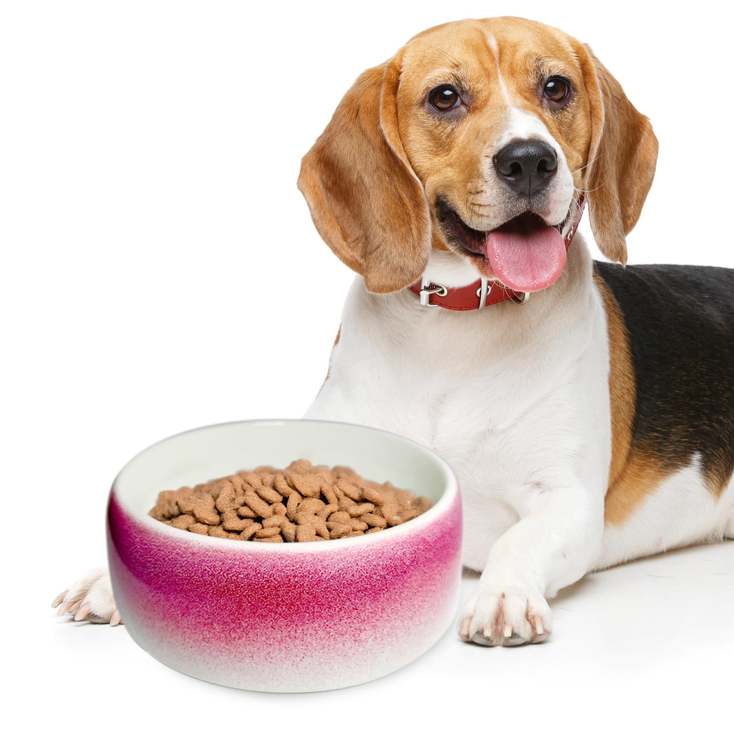 Byer of Maine Pet Bowl – High-Fired Porcelain Stoneware, Food-Grade Safe, Dishwasher Safe, Non-Slip Dog Bowl for Small Breeds in Roll Over Red