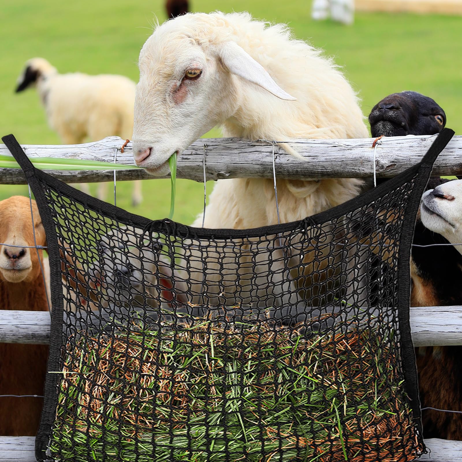 PORFOYO Filet à foin pour chevaux - 120 x 90 cm - Maille étroite avec 2 mousquetons - Filet d'alimentation avec boucle de sécurité - Capacité 10 kg - Filet à foin pour chevaux