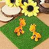 Product Photo 5