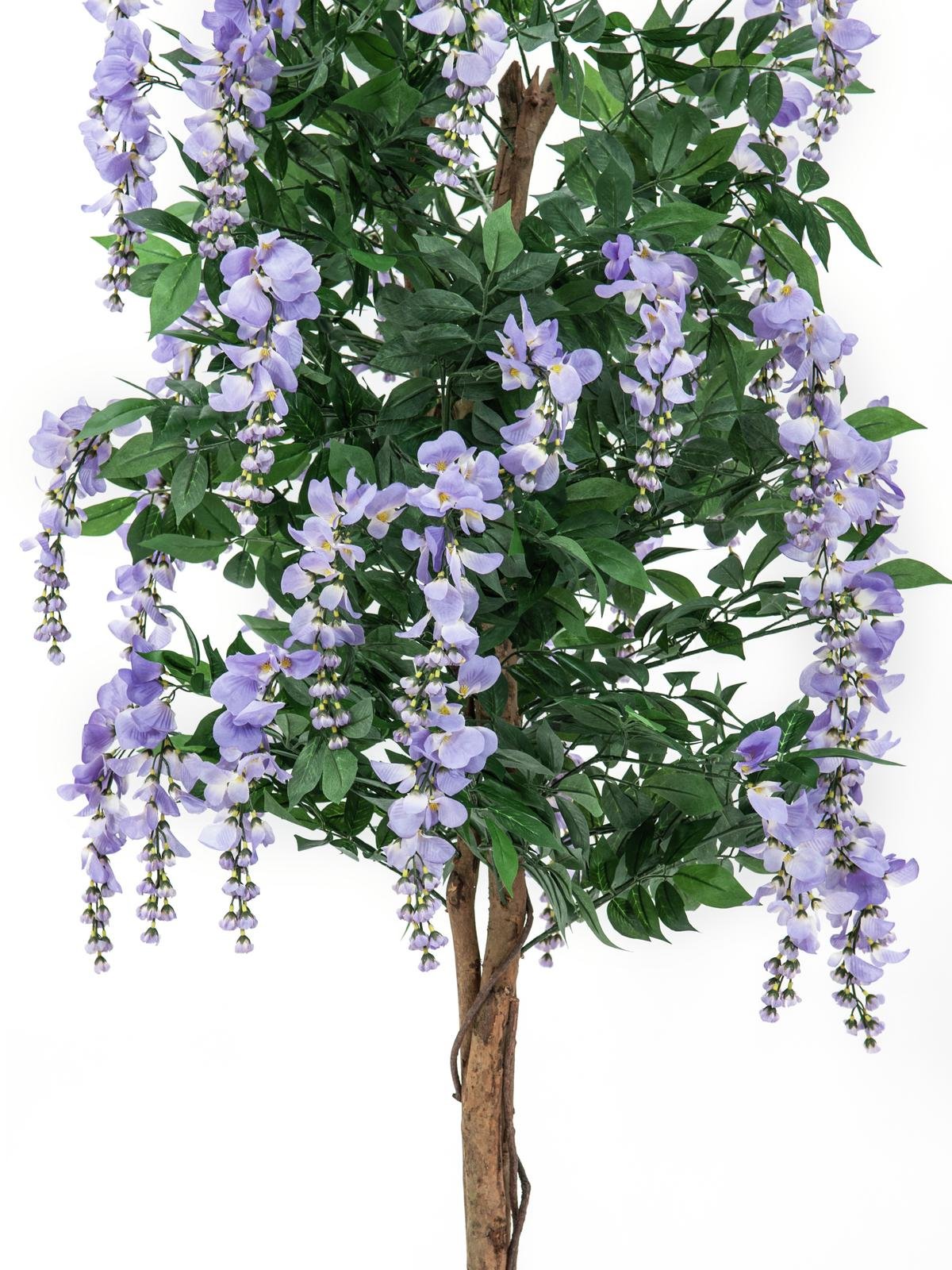 Europalms 180 cm Wisteria, Viola