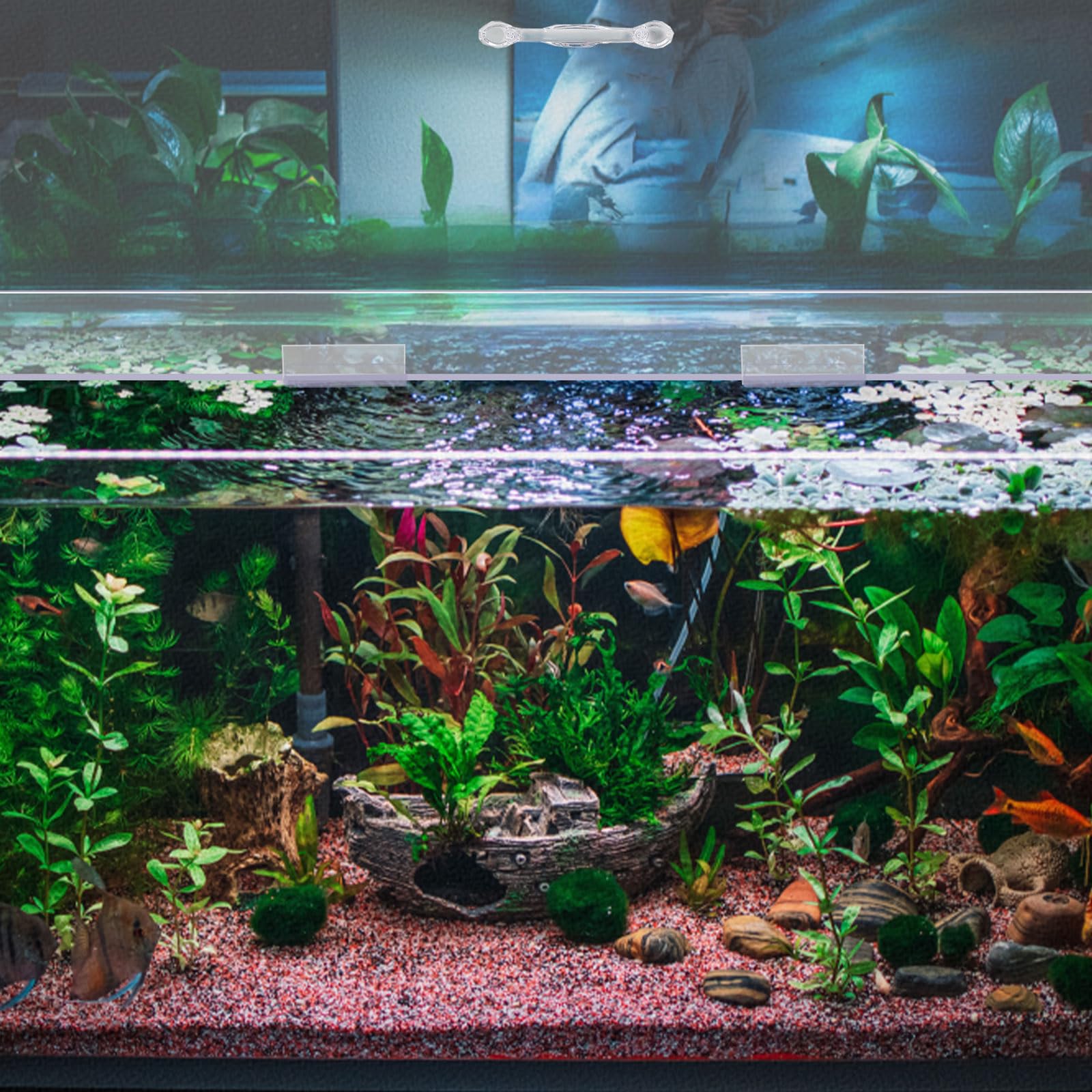 Sieral Copertura per Acquario in policarbonato, Set da 2 Pezzi, Copertura per Acquario con Manico, Coperchio per Acquario con Gancio Centrale e Coltello a Gancio (Trasparente, 120 x 45 cm)