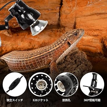 Amazon | 爬虫類クリップスタンド 両生類用ライトホルダー