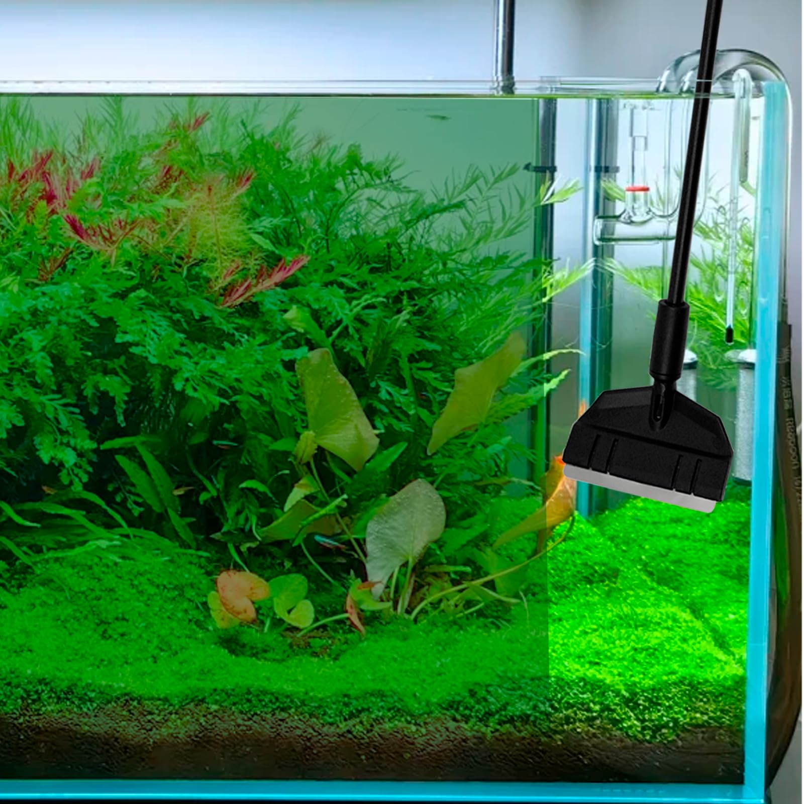 Kit de Nettoyage Aquarium 3-en-1 36 cm, Nettoyeur de Vitres avec Grattoir à Algues, Brosse Triangulaire et Brosse d’Angle, Têtes Interchangeables pour Nano Aquariums