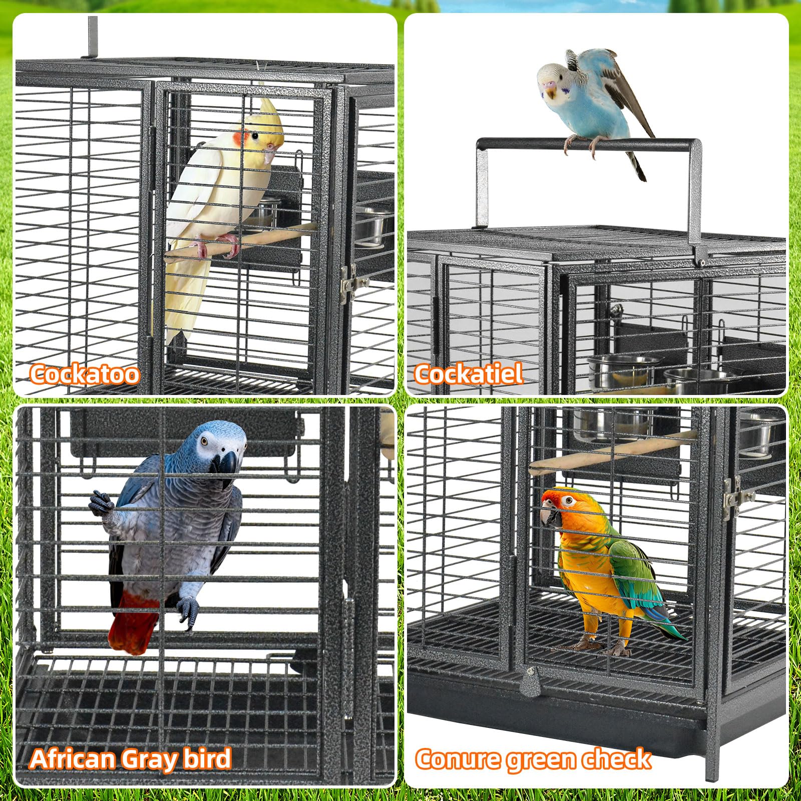 Przenośna klatka podróżna dla ptaków z uchwytem drewniana okonie dla małych papug, kanarków, papug, papug, ptaków, Conures Cockatiels