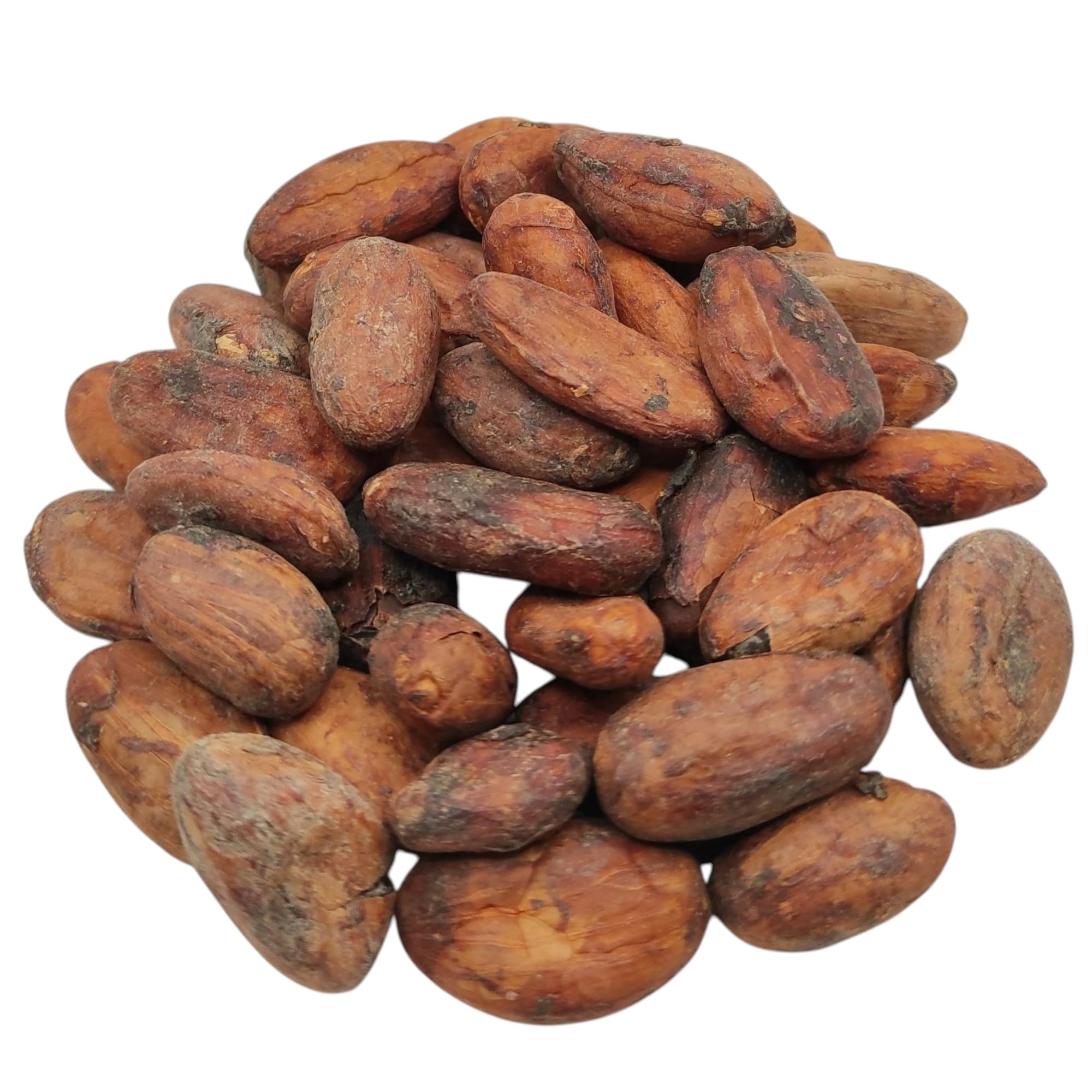 Granos de Cacao Crudo Orgánico Premium – theobroma Cacao (950 gramos)