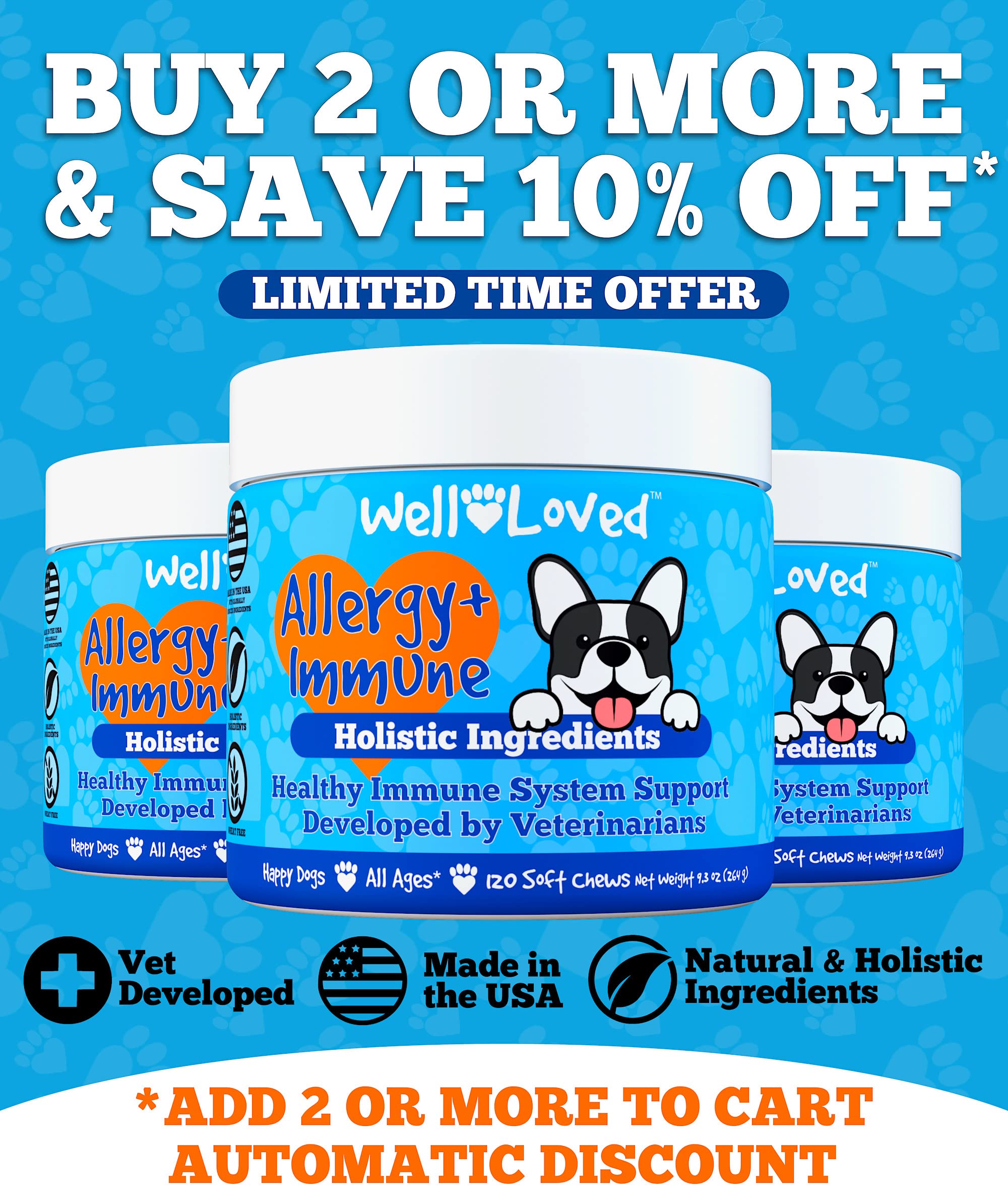 Buy Well Loved Dog Allergy Chews Dog Allergy Relief, Made in USA, Vet