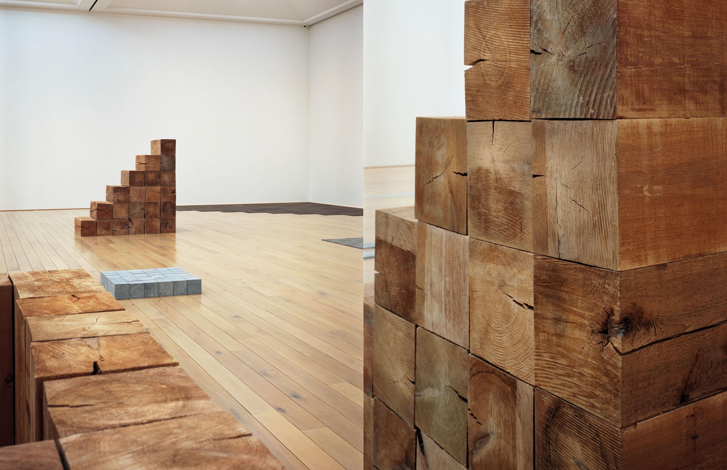 Carl Andre - Between Sculpture and Poetry