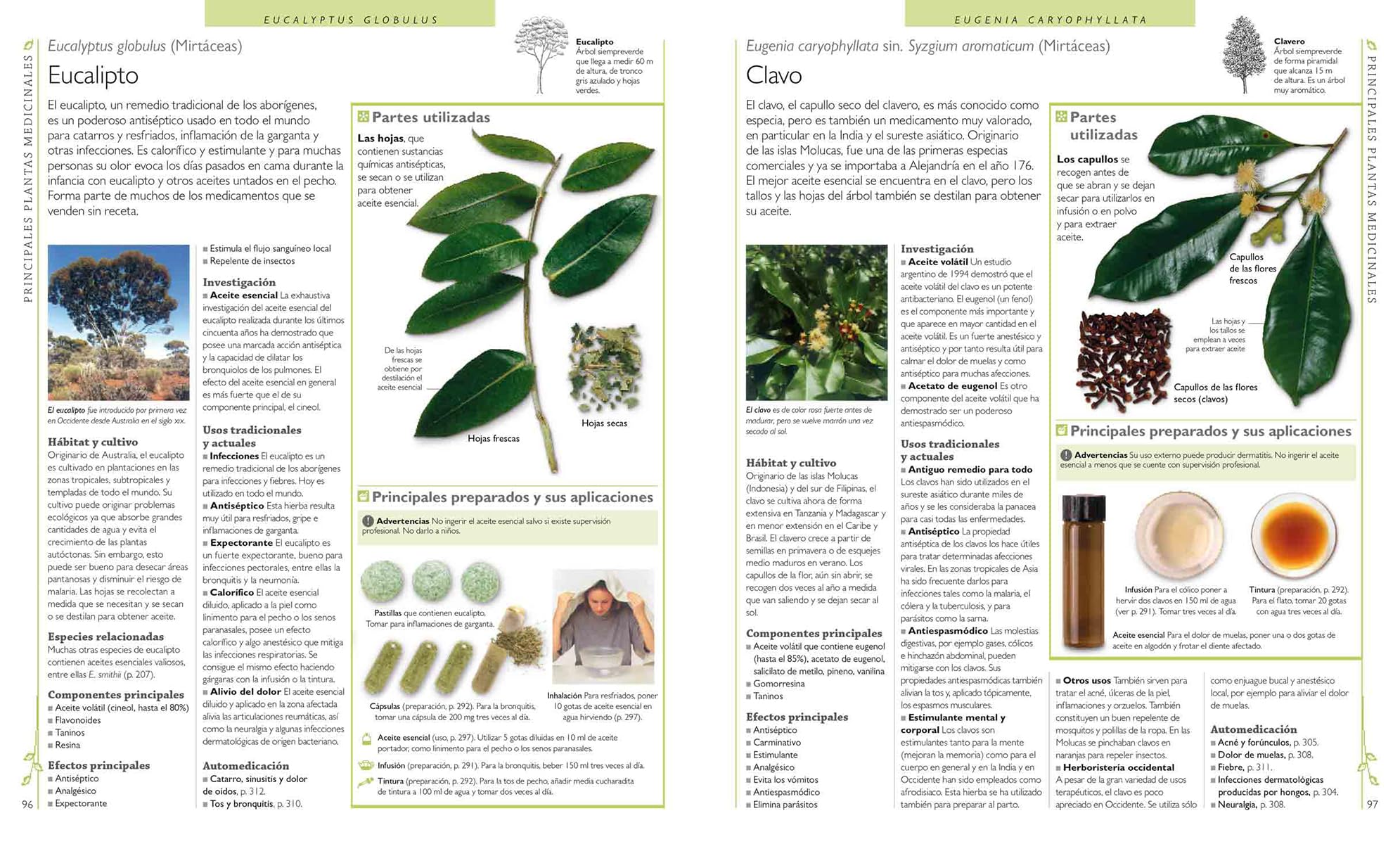 Enciclopedia de plantas medicinales: 560 hierbas y remedios para dolencias comunes