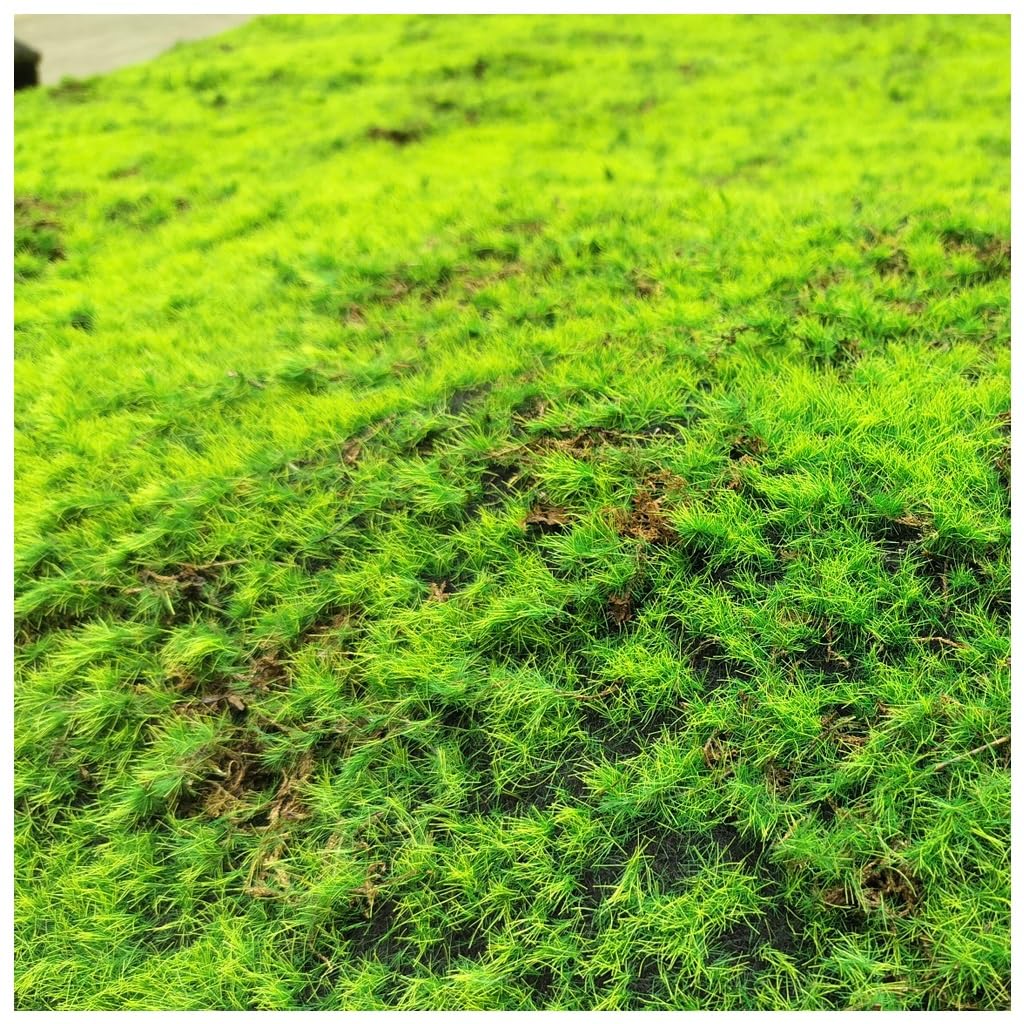 Lifelike Fake Moss Sheets Ideal for Miniature Gardens, Fairy Landscapes Event Decoration(3 Size)