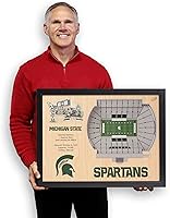 Vista 4 de YouTheFan NCAA Arte de Pared StadiumView de 25 Capas