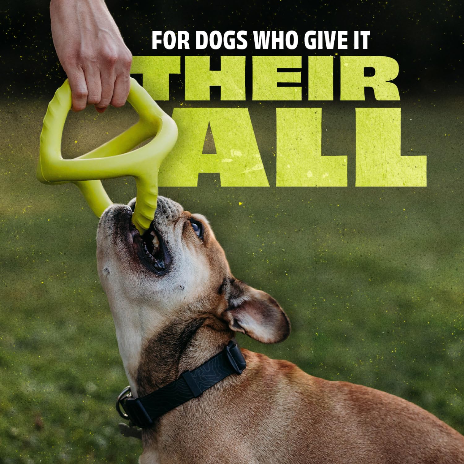 Benebone Natural Rubber Tug Interactive Dog Toy, 100% Natural Rubber, Green, Tug - One Size - Image 2