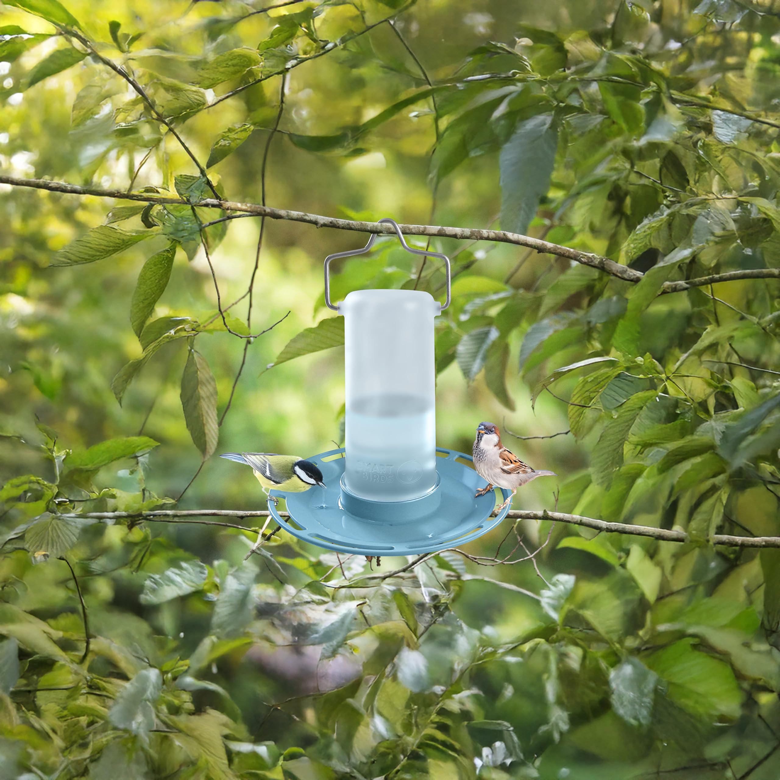 SWISSINNO Abbeveratoio per uccelli Zug SMART BIRDS Azzurro chiaro – Resistente ai raggi UV in plastica PC e ASA – Distributore d’acqua balcone terrazza giardino – Durevole e facile da pulire