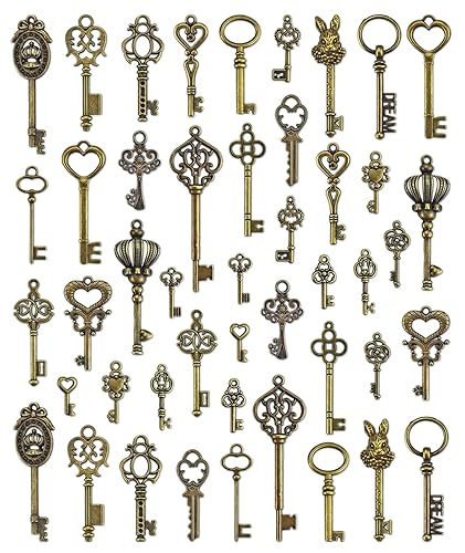 JIALEEY Vintage Skeleton Key Charms, 23 Type of 46PCS Antique