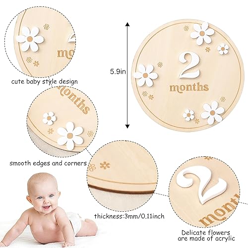 Miniatura 2 de Tarjetas de hitos de flores de margaritas bohemias de madera, decoración de tarjetas de hitos intercambiables de 1 a 12 meses, accesorio de foto de