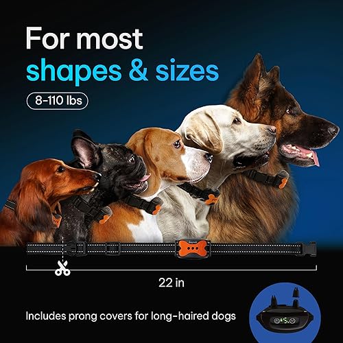 Miniatura 6 de DogRook Collar antiladridos para perros  Collar antiladridos inteligente recargable para perros  Collar antiladridos impermeable sin golpes para