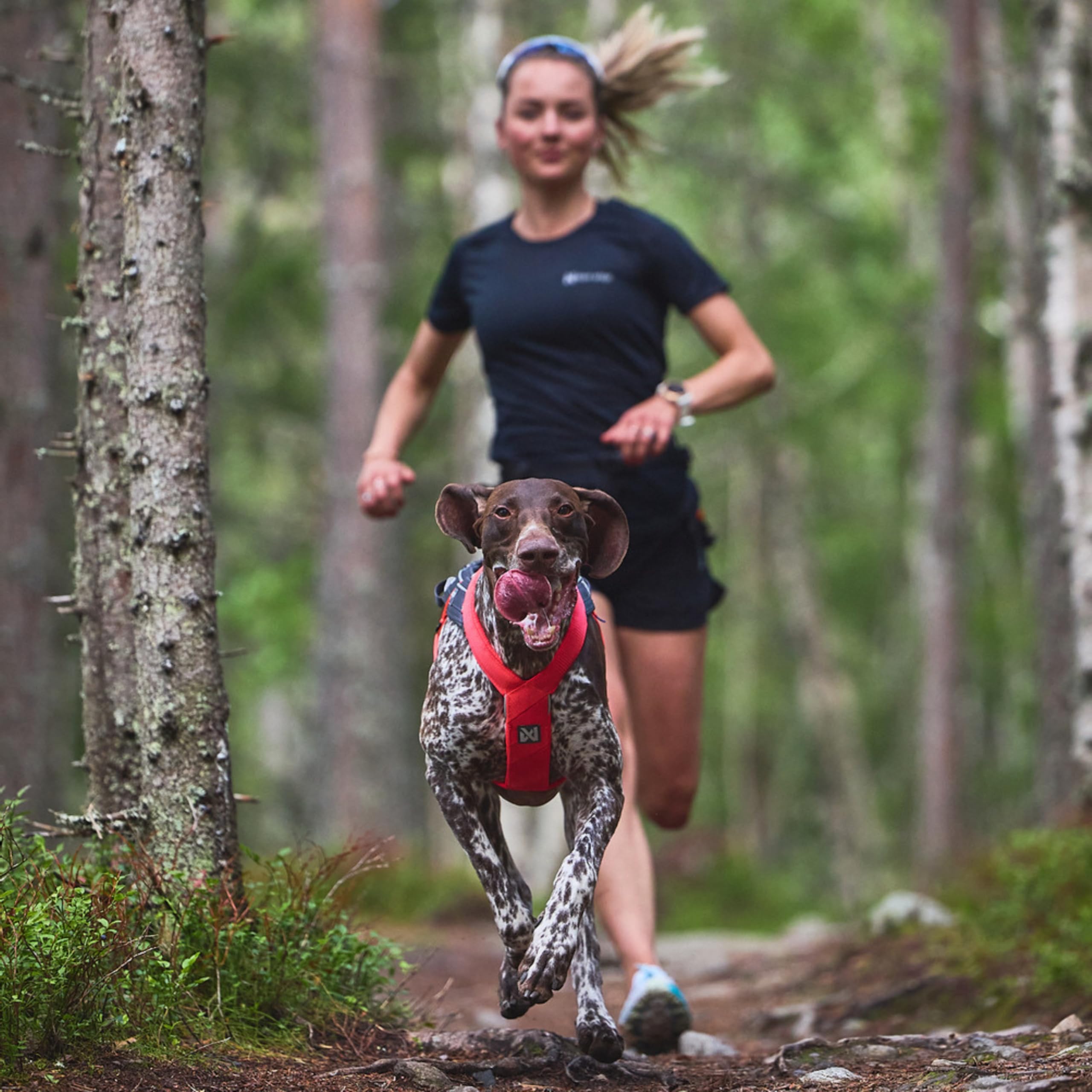 Non-Stop dogwear FREEMOTION Arnés 5.0 |111| Arnés para perros para todos los deportes, talla: 4