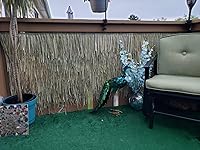 Review Image by Amy Amy