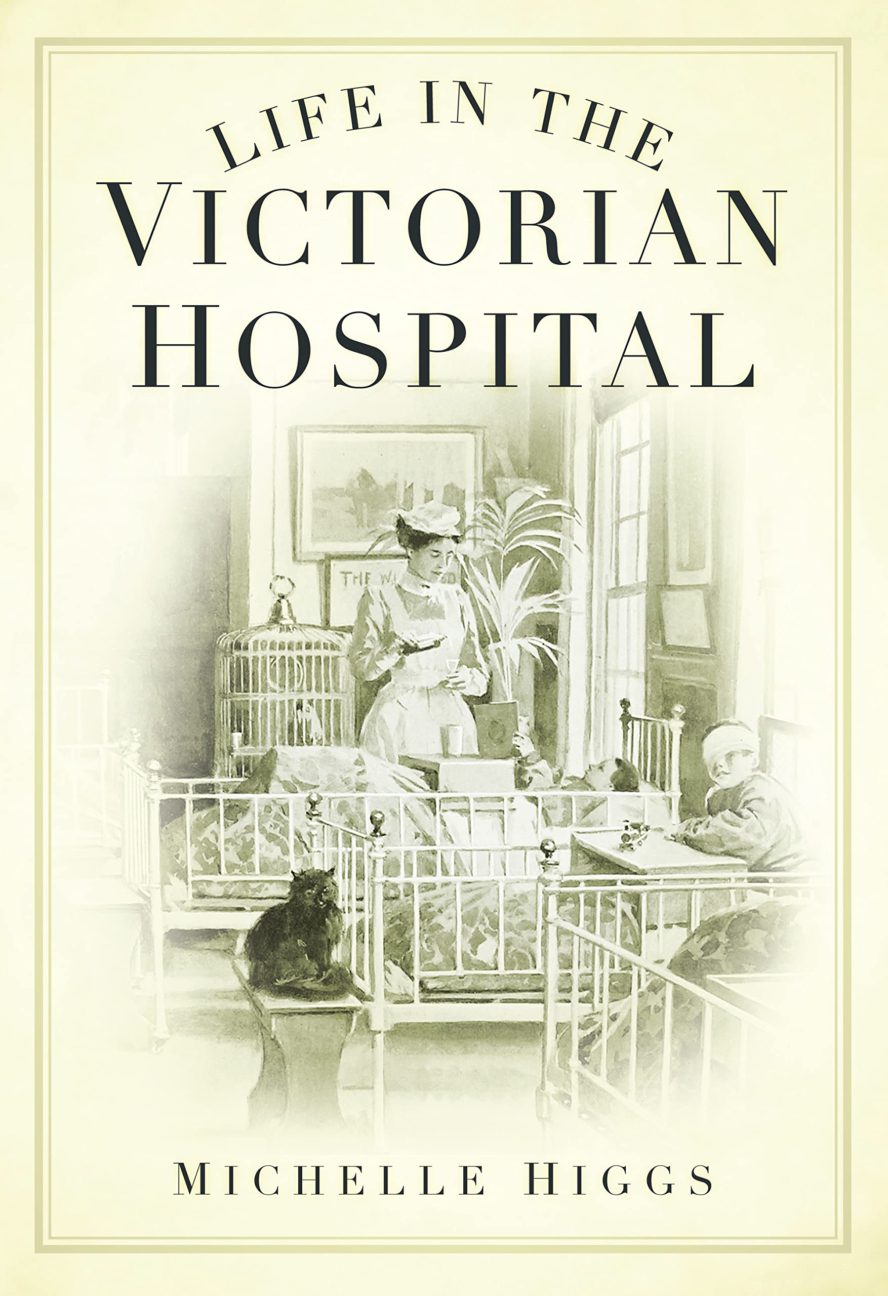 Life in the Victorian Hospital by Michelle Higgs PAPERBACK 9780752448046