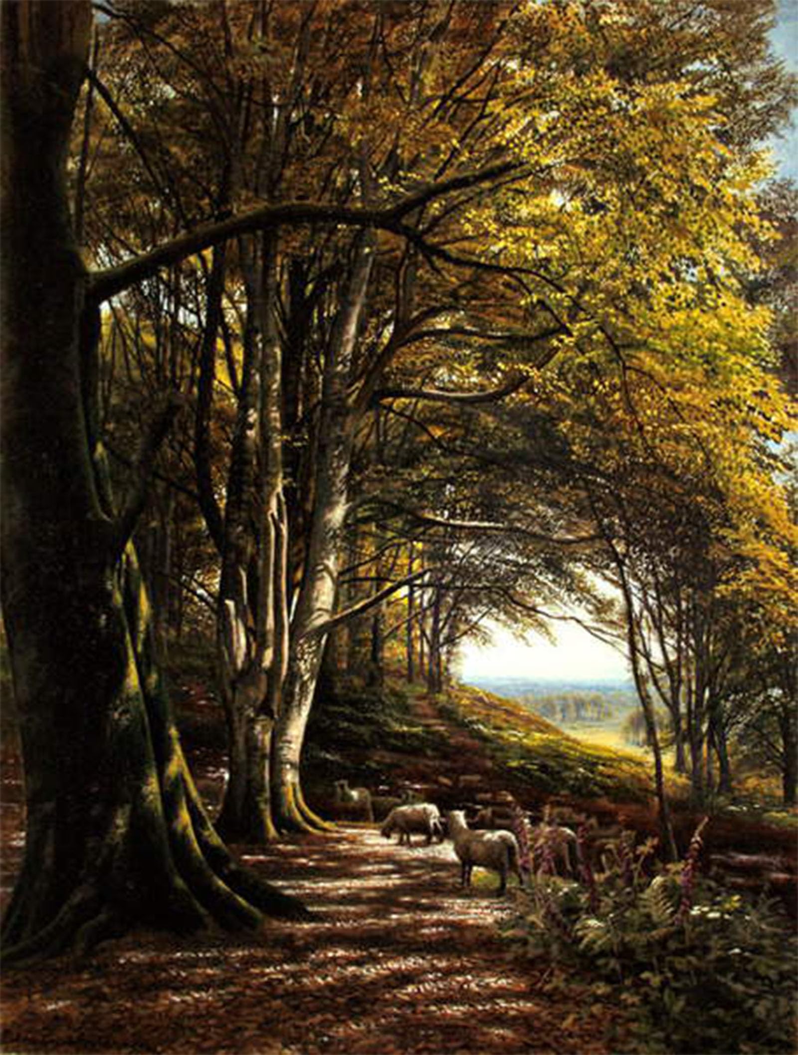 POSTERIIk Famous Print Pop Art Wall Art Graffiti Sheep Grazing in a Forest Cleaaring by Edmund George Warren Art Prints for Home Decor 60x90cm