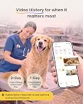 Furbo Mini 360° [Subscription Required] New 2K QHD Pet Camera - Unlock w/Paid Plan: Dog & Cat Safety Alerts, Rotating Treat Toss w/ 2-Way Speaker Smart Cam (Low Risk, 3mo Min. Cancel Anytime)