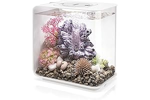 Flow 15 Acrylic Bio Orb Aquarium Tank: A Crystal-Clear Haven for Aquatic Life