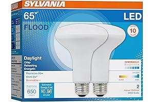 SYLVANIA LED Flood BR30 Light Bulb: Illuminate Your Space with Pristine Daylight