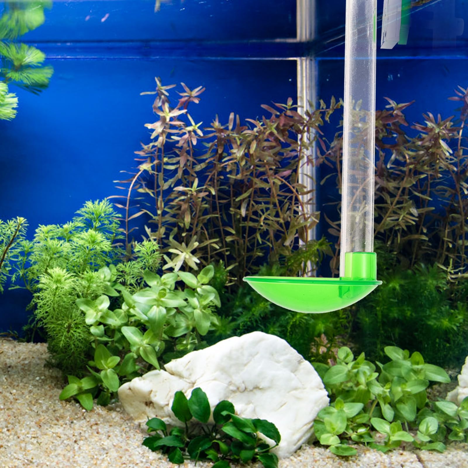 BESPORTBLE 3juegos Alimentador De Camarones Transparente para Acuario Comedero Práctico para Peces y Crustáceos Compatible Tanques Plantados y Organismos Acuáticos