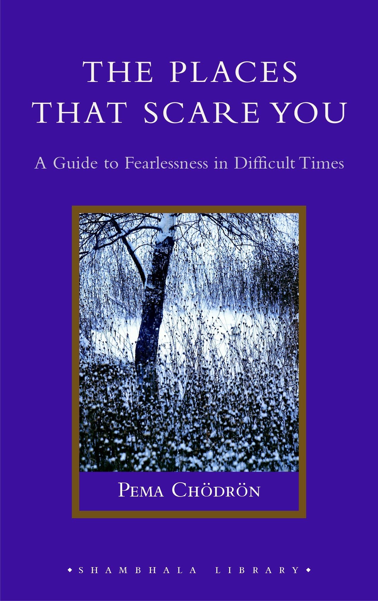 The Places That Scare You: A Guide to Fearlessness in Difficult Times (Shambhala Library)