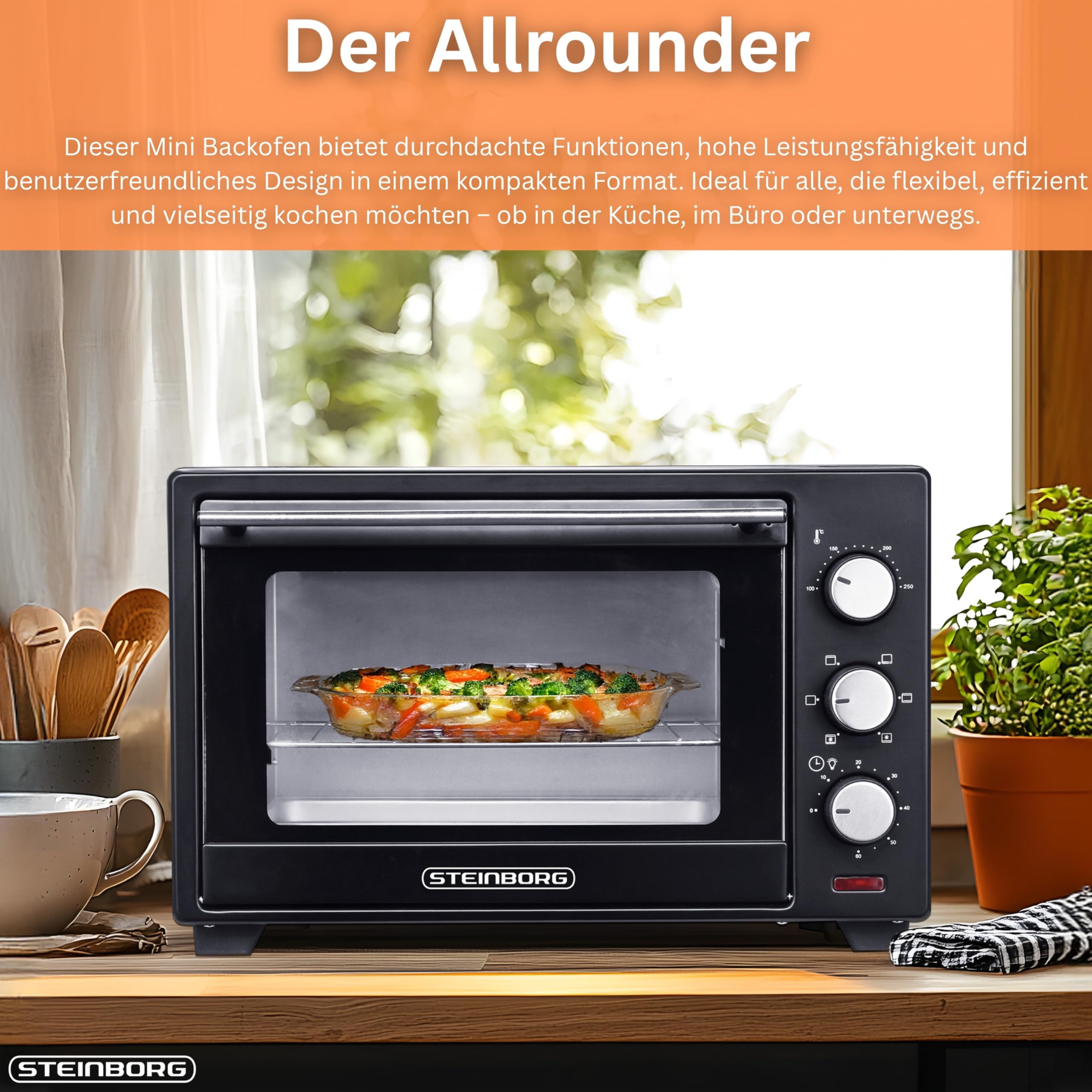 STEInBORG Mini Backofen 25 Liter | Pizza-Ofen | 3in1 Backofen | Minibackofen | Miniofen | Krümelblech | Ober-/Unterhitze | Konvektion | 60 minTimer | 1.600 Watt