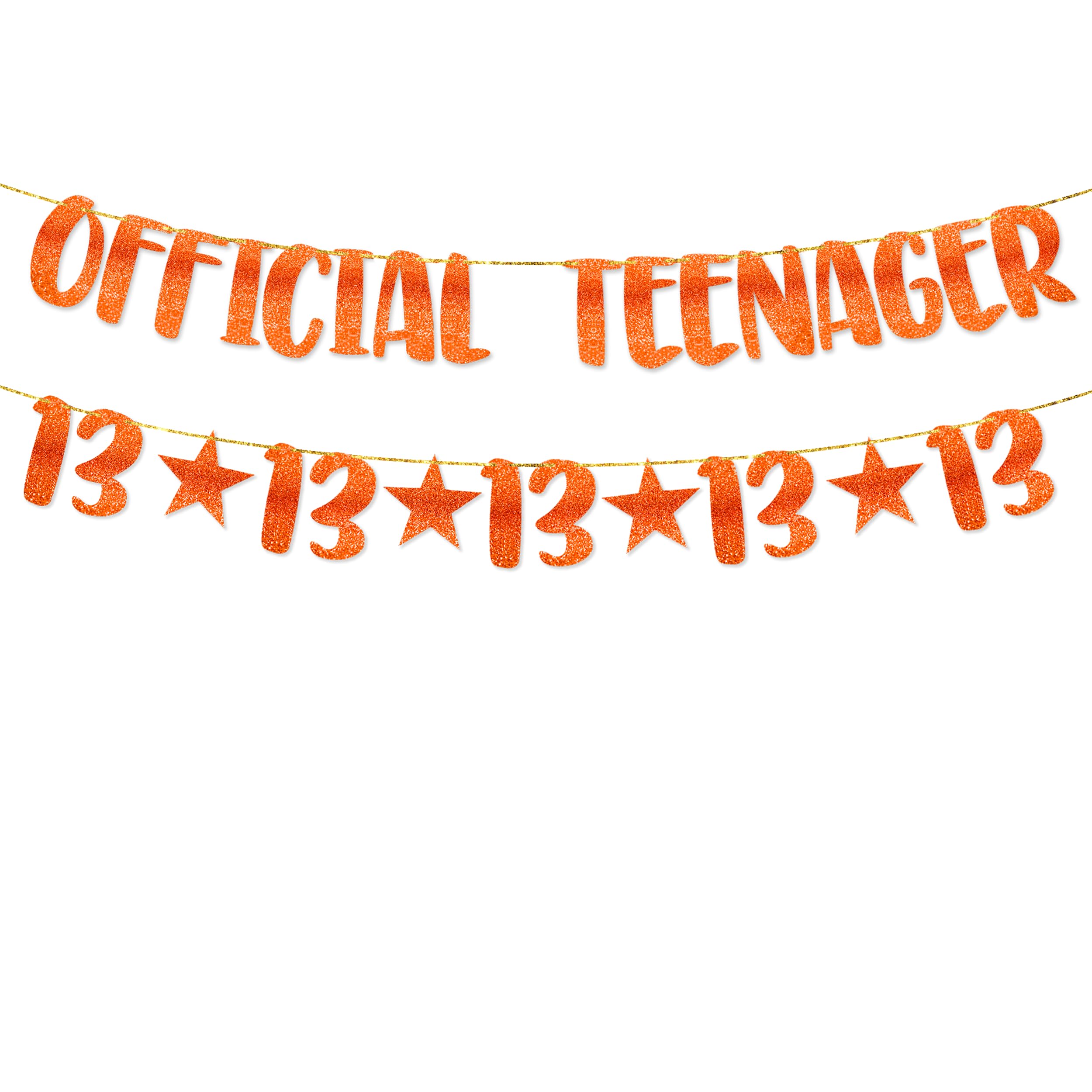 TOYVENTURES 13th Birthday Decorations - Official Teenager Glitter Banner with Number 13 Garland | Party Supplies, Ideas, Gifts for Girls & Boys | Pre-Strung Reusable Birthday Banner, No DIY Required