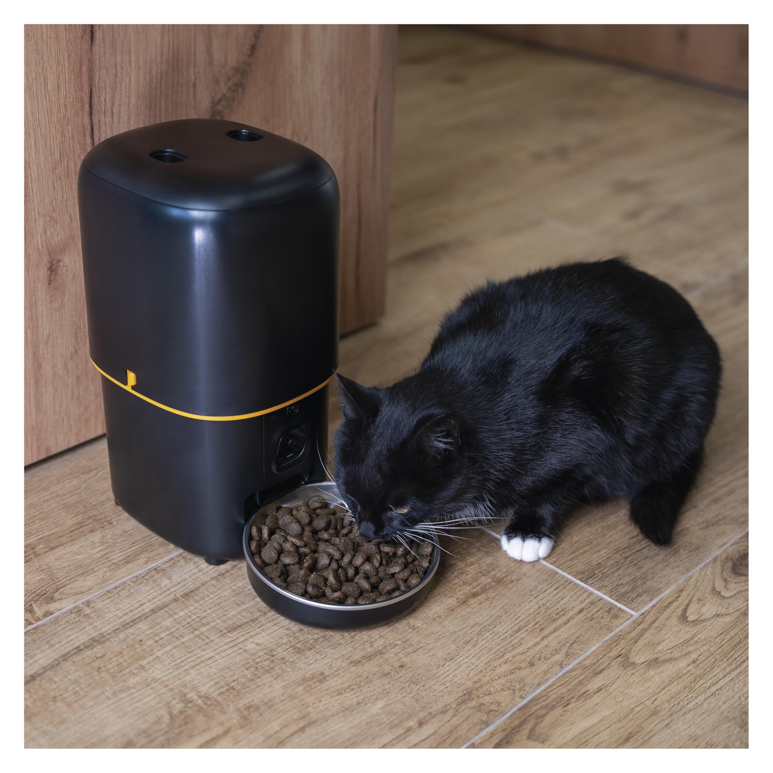 EMOS - GoSmart Futterautomat 4 l - WLAN Pet Care Futterspender mit App - Trockenfutter Automat für Katze & Hund mit Zeitplan, Sprachaufzeichnung, Dosierung 1–10 Mahlzeiten pro Tag - Schwarz