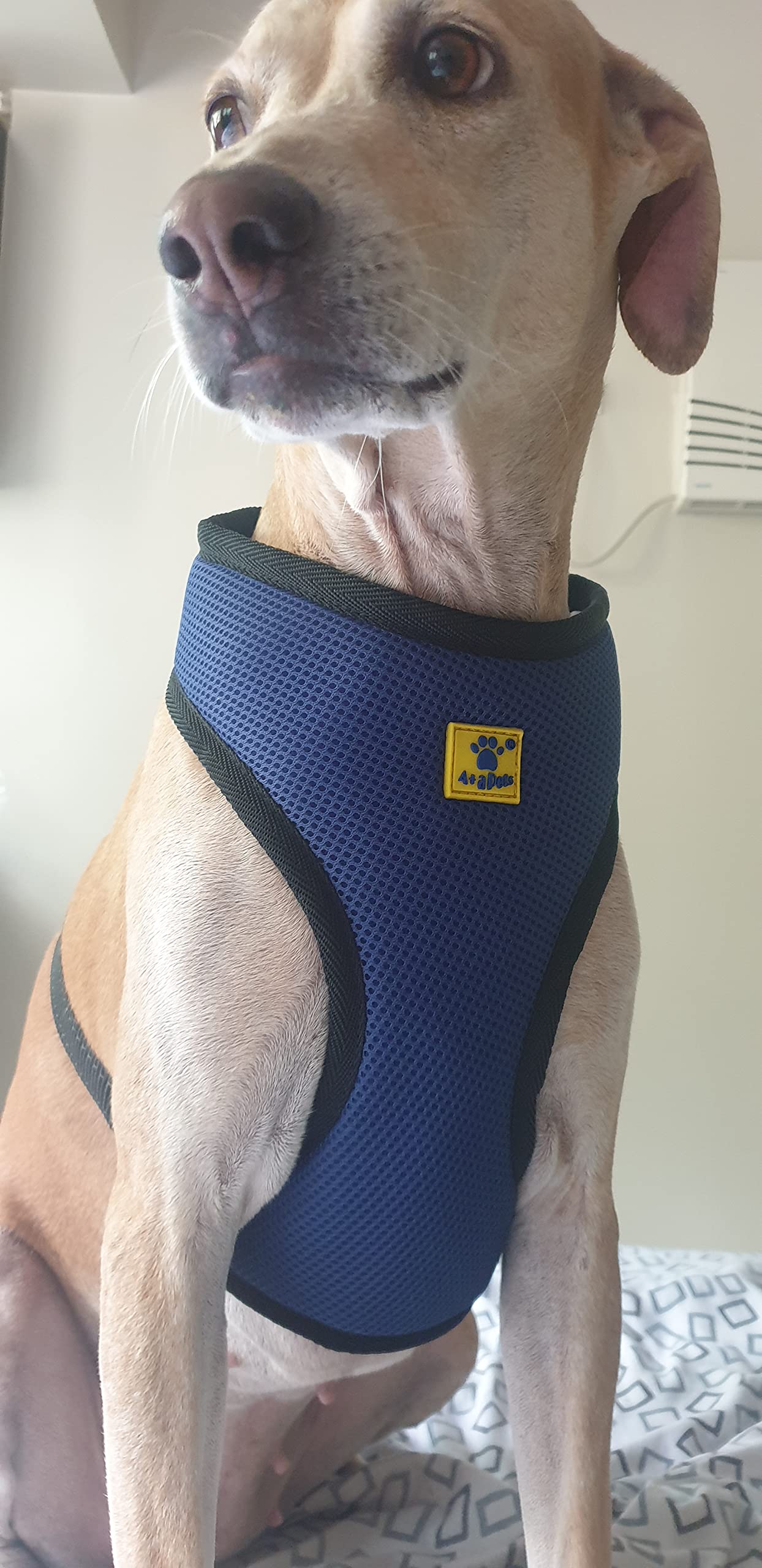 A+a Pets Air Mesh Quick Dry Harness | Reflective Adjustable Soft Comfortable Pet Vest (Adult/Large Dogs) (X-Large, Ink Blue) (B097YQLXMM) Amazon Price History, Amazon Price Tracker