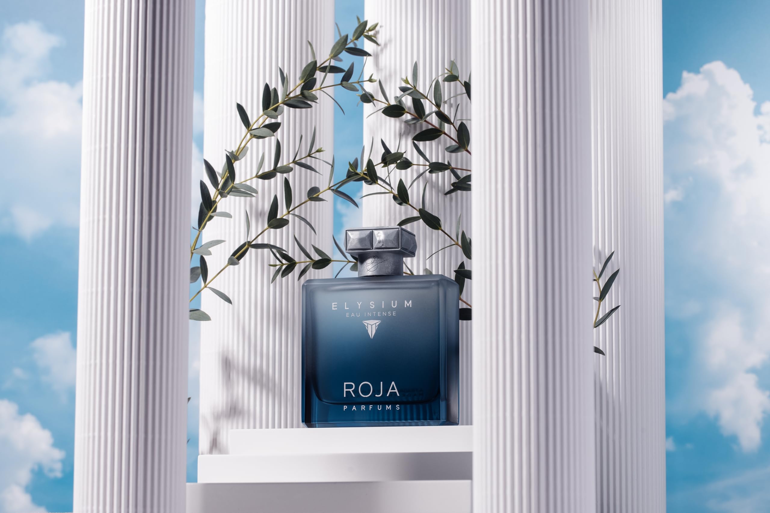 Roja Elysium Eau Intense Pour Homme EDP 100 ml | Amazon.com.br