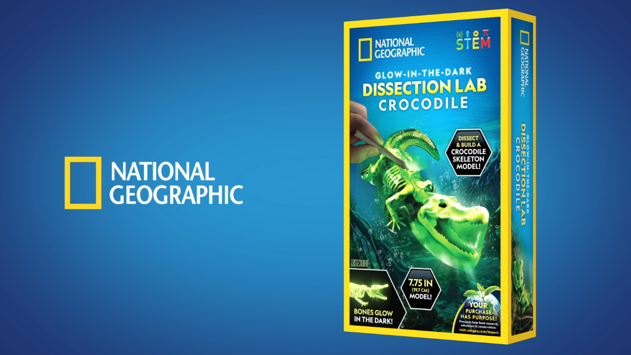 Amazon.com: National Geographic Glow in the Dark Crocodile