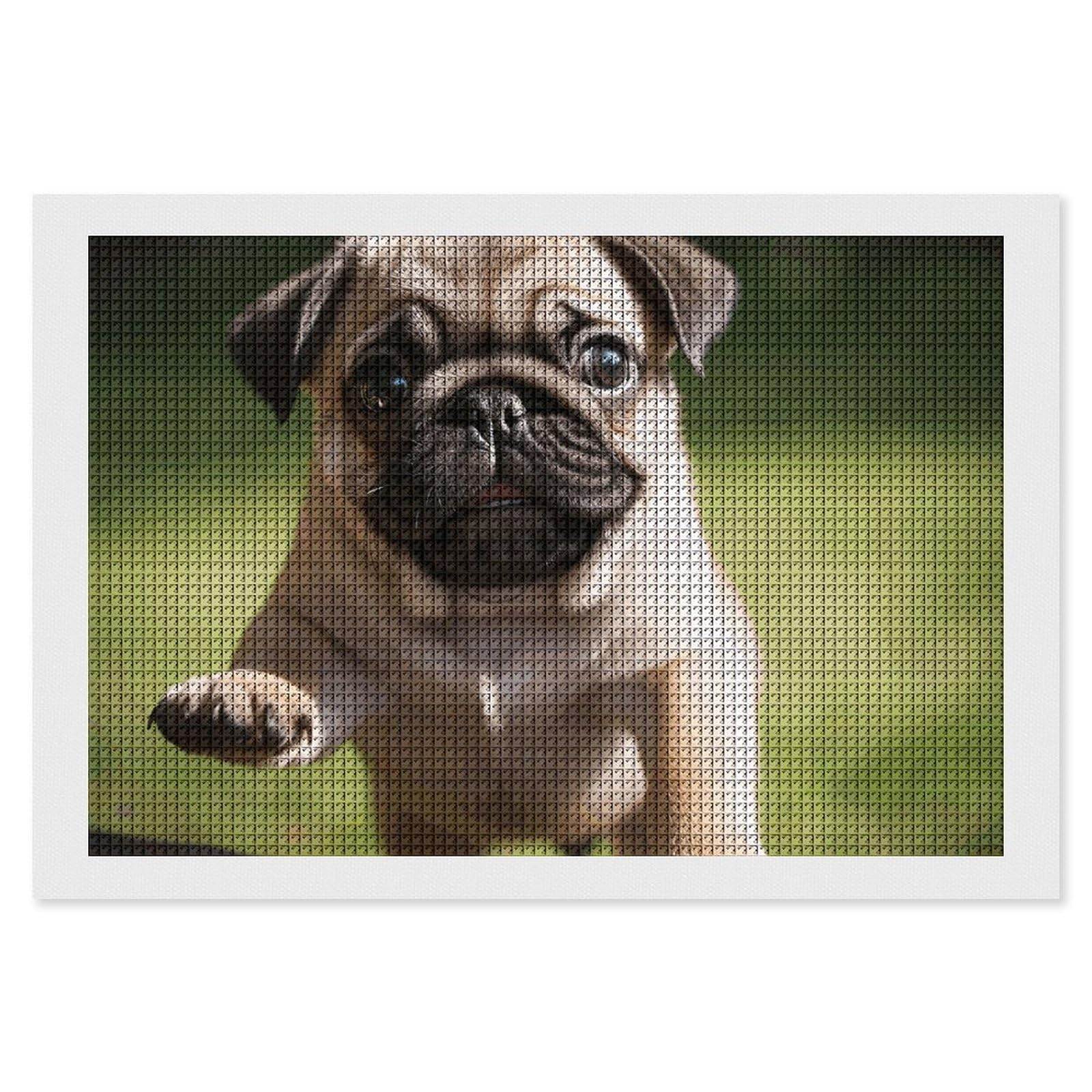 NONHAI Diamond Painting Kits for Adults - DIY Diamond Art Kits for Beginners - Full 5D Paint Drill Diamond Dots Paintings- Pug Puppies Diamonds Pictures Gem Art and Craft Wall Decor 8"x12"