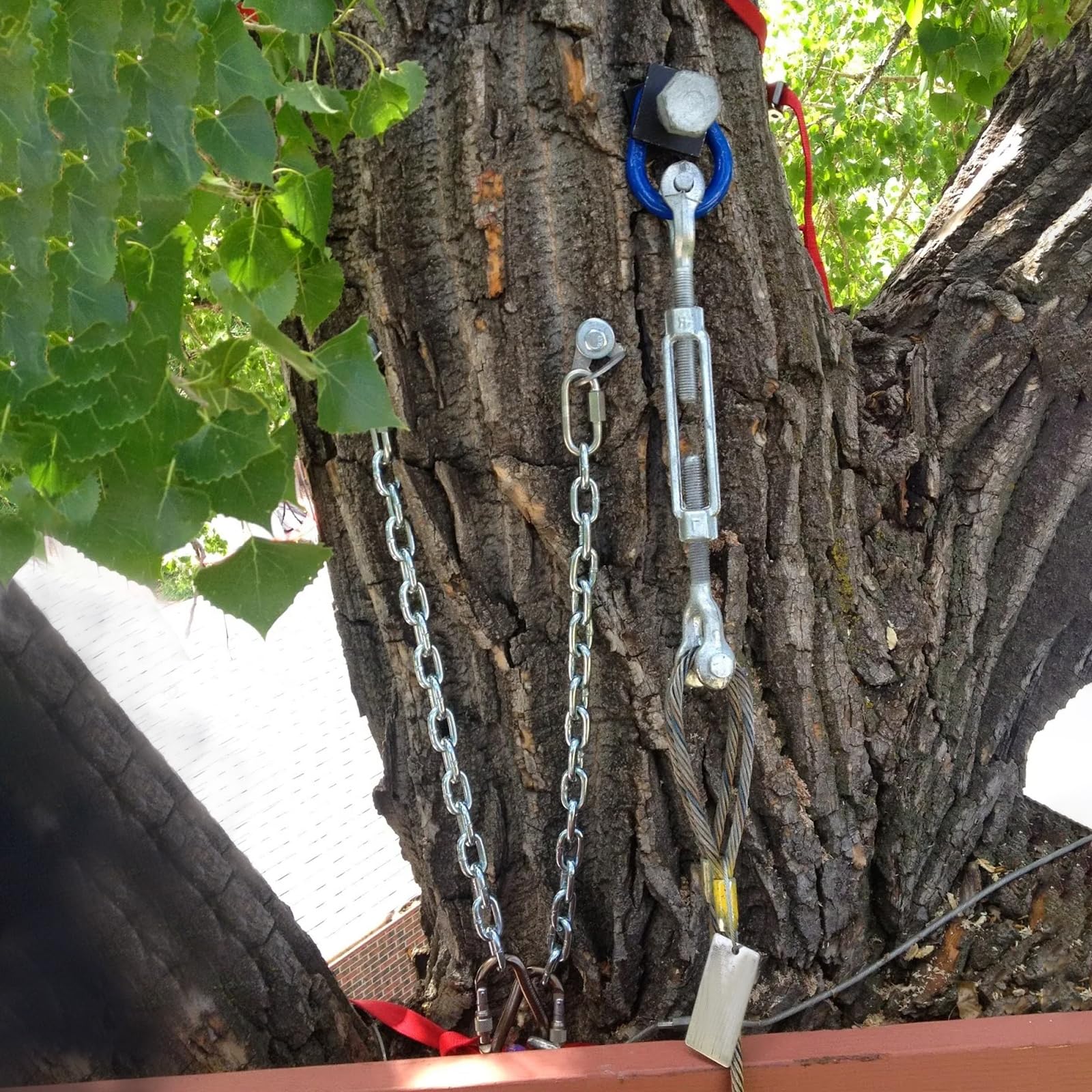 6 tenditori M6 da 1/4 di pollice in acciaio inossidabile, limite di carico di lavoro di 725,7 kg, tenditori a mascella e mascella per trattore, tensione fune metallica, tenda parasole