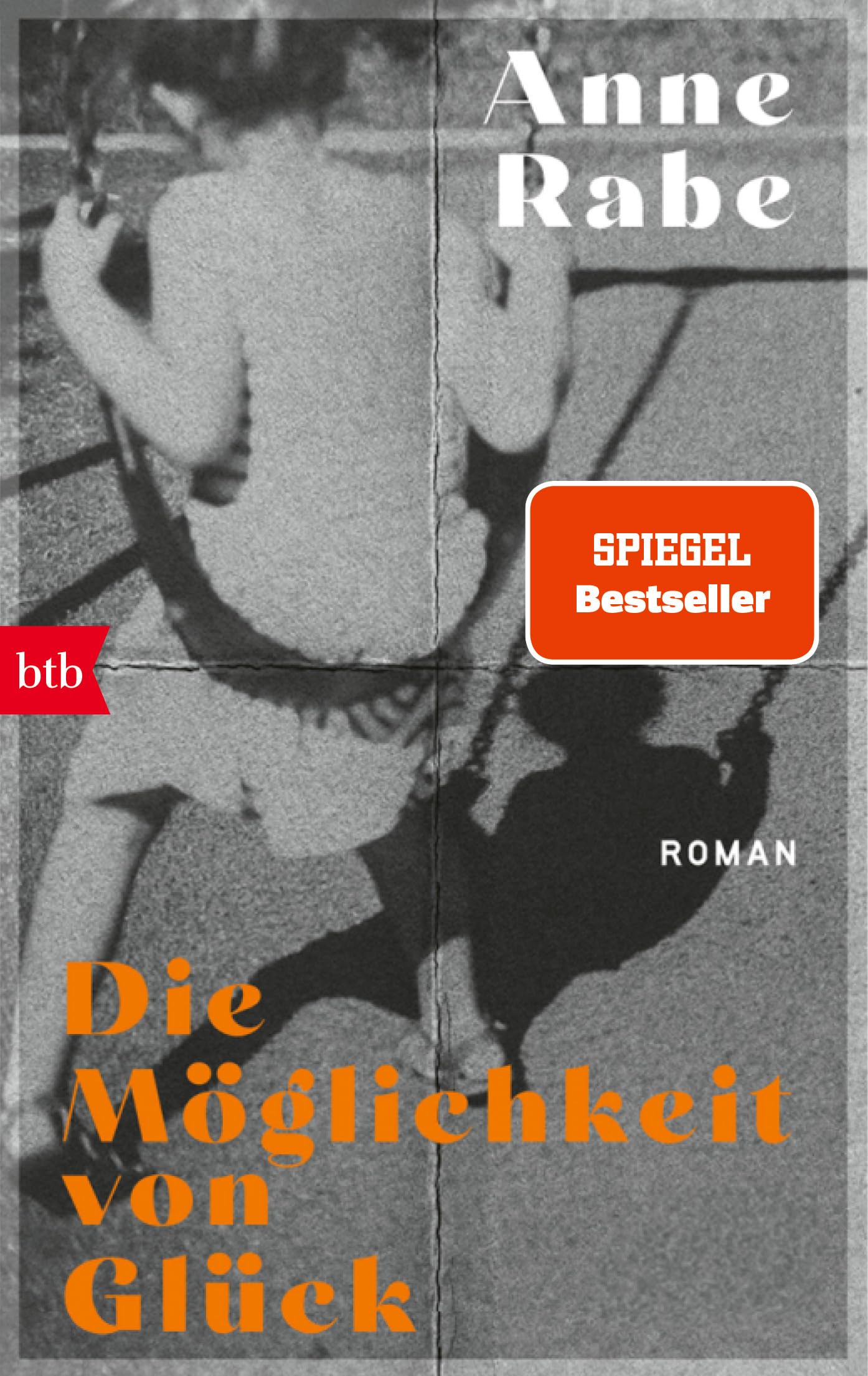 Die Möglichkeit von Glück: Roman
