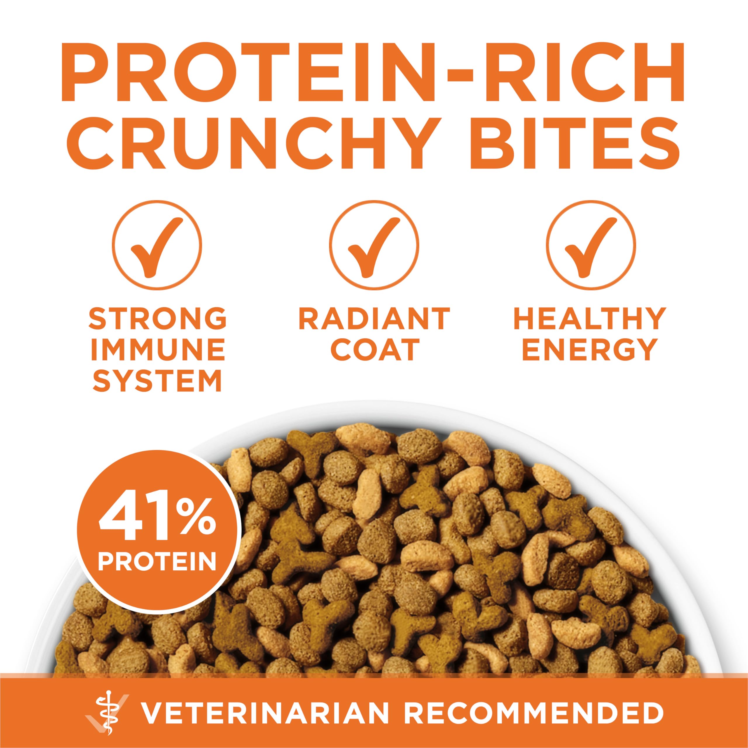Amazon.com: Purina ONE: Subscribe Cat Food
