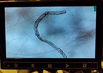 Review Image by Geoff Geoff