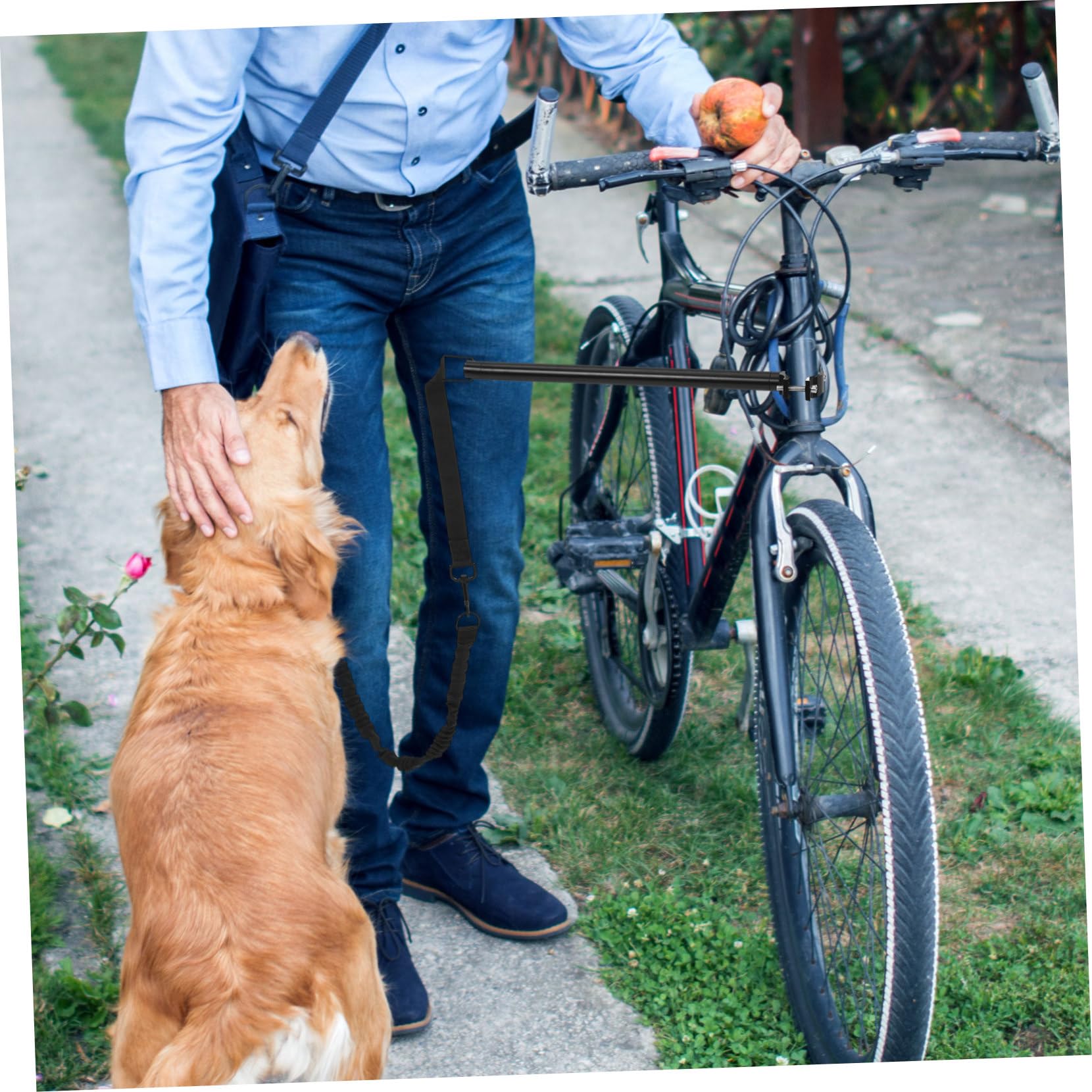 minkissy Paseador De Perros Bicicleta Correa para Perros De Exterior Cuerda para Tirar De Mascotas para Paseos Al Aire Suministros para Mascotas