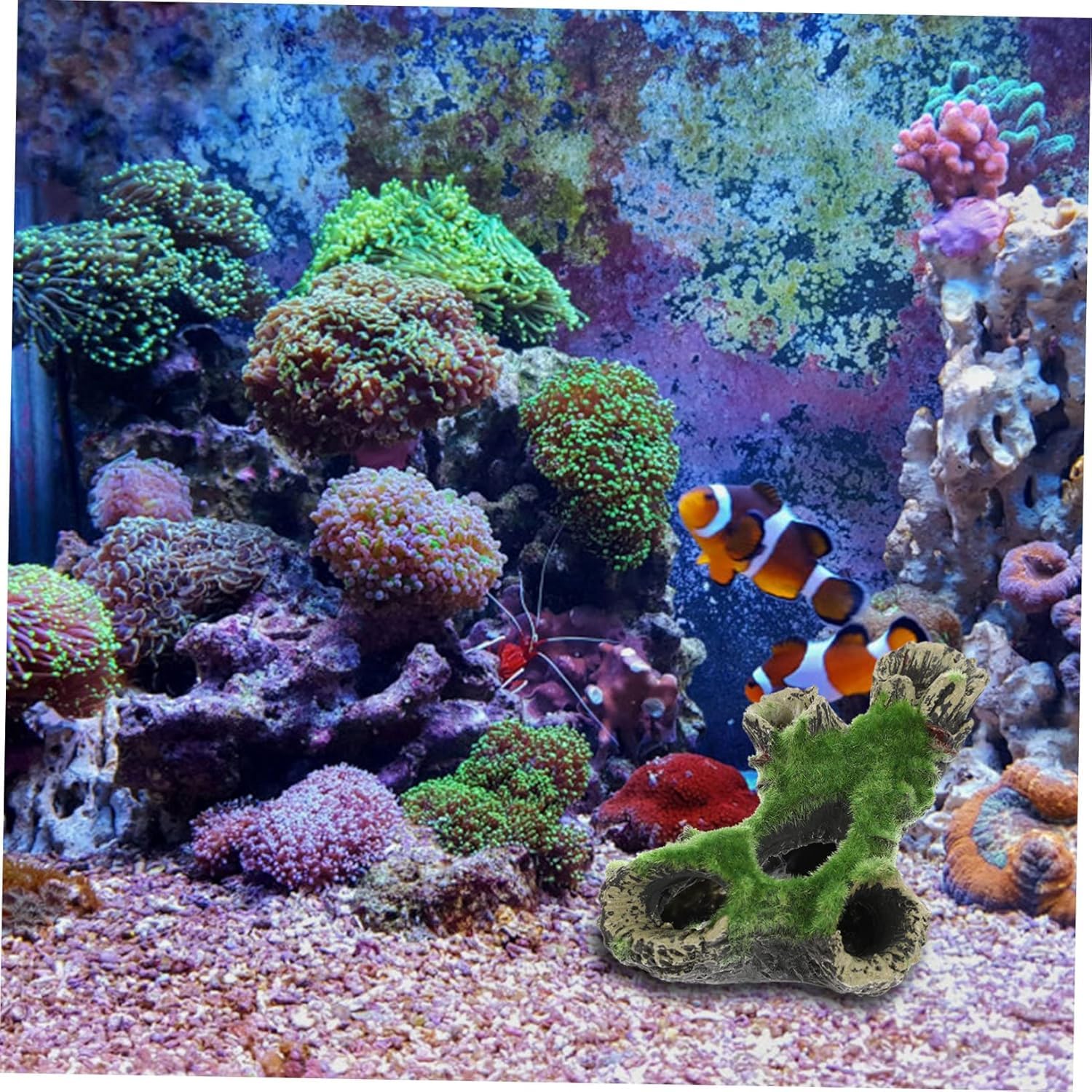 Décoration Aquarium en Résine - Grotte et Cachette pour Poisson (Reproduction, Jeu, Repos) - Ornement Sécure pour Aquarium Communautaire