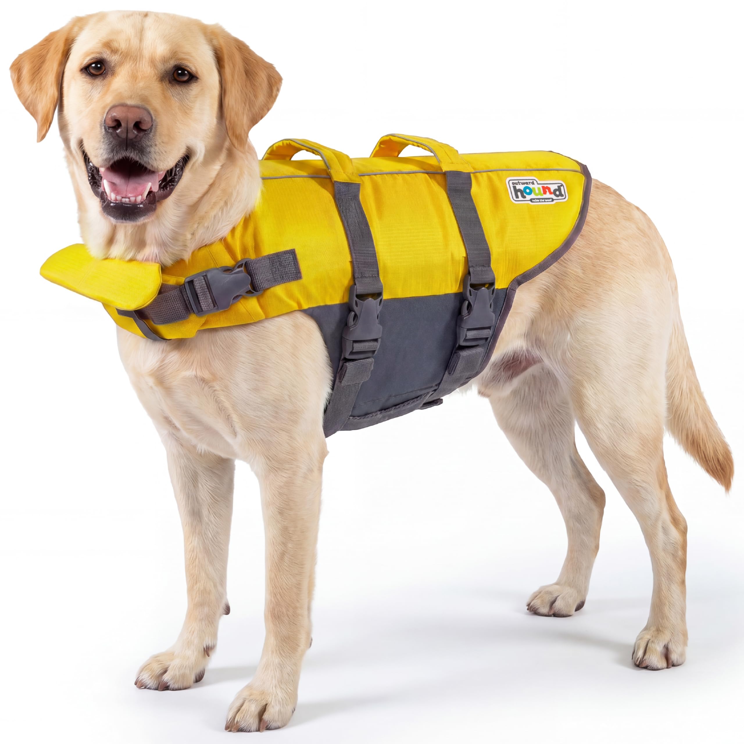 Amazon.com : Outward Hound Granby Splash Dog Life Jacket, Life