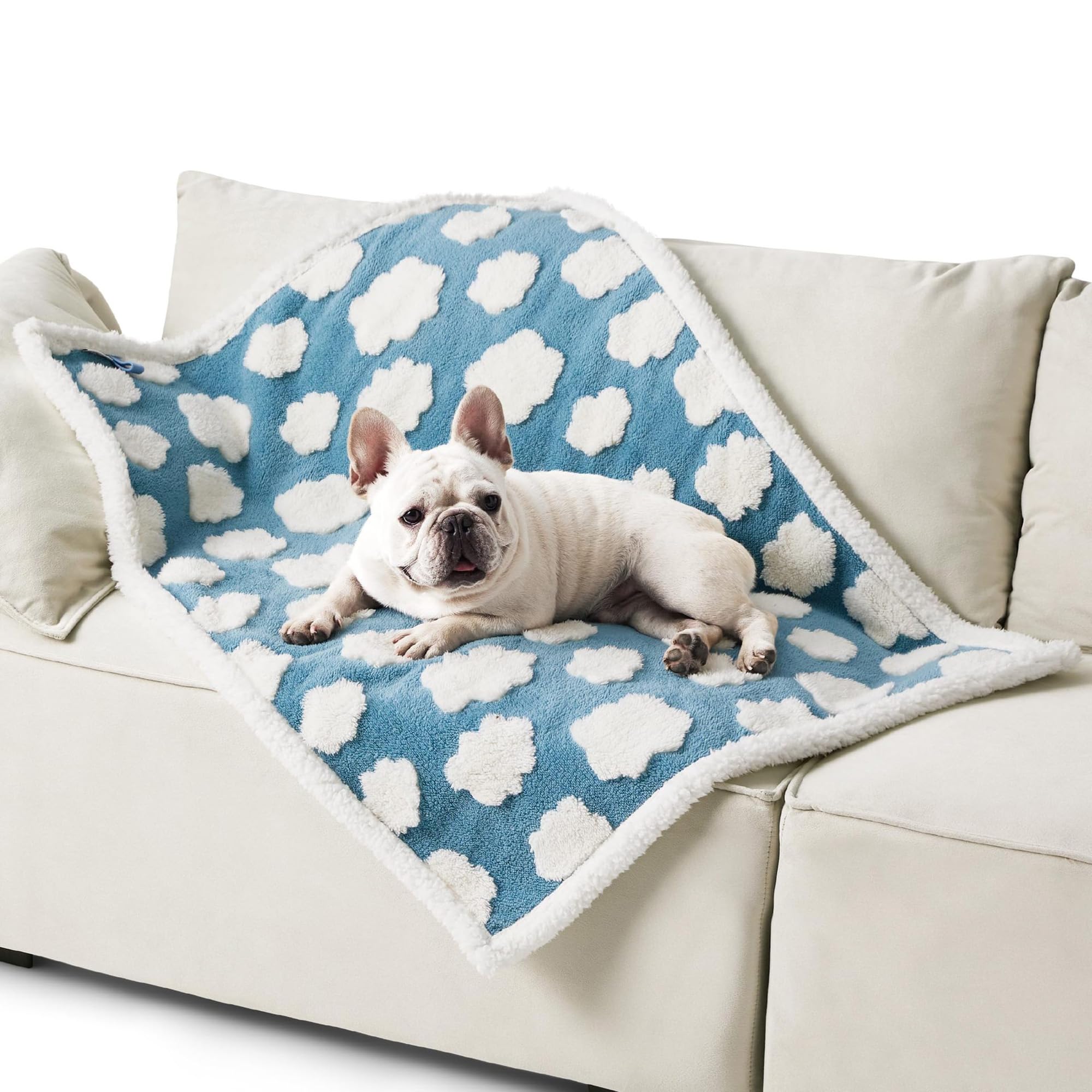 Grande coperta in pile per animali domestici, lavabile in lavatrice, per cuccioli, per dormire, per gattini, per cani, gatti, cuccioli (216 x 145 cm, stile 3)