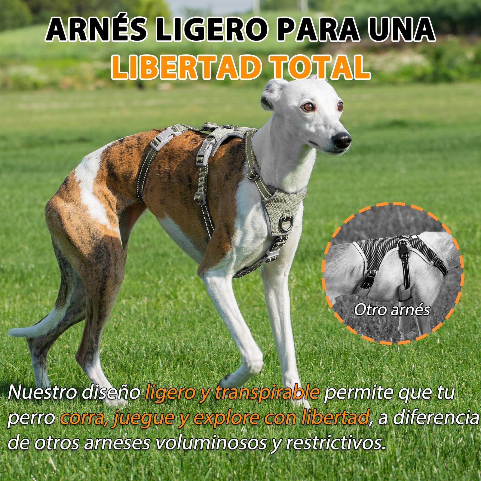 Huntboo Arnes Antiescape Perro Pequeño Mediano Grande, Arnés Antitirones para Perros, Reflectante, Duradero, Chaleco Ajustable y Transpirable para Paseos y Entrenamientos (Verde Militar,M)