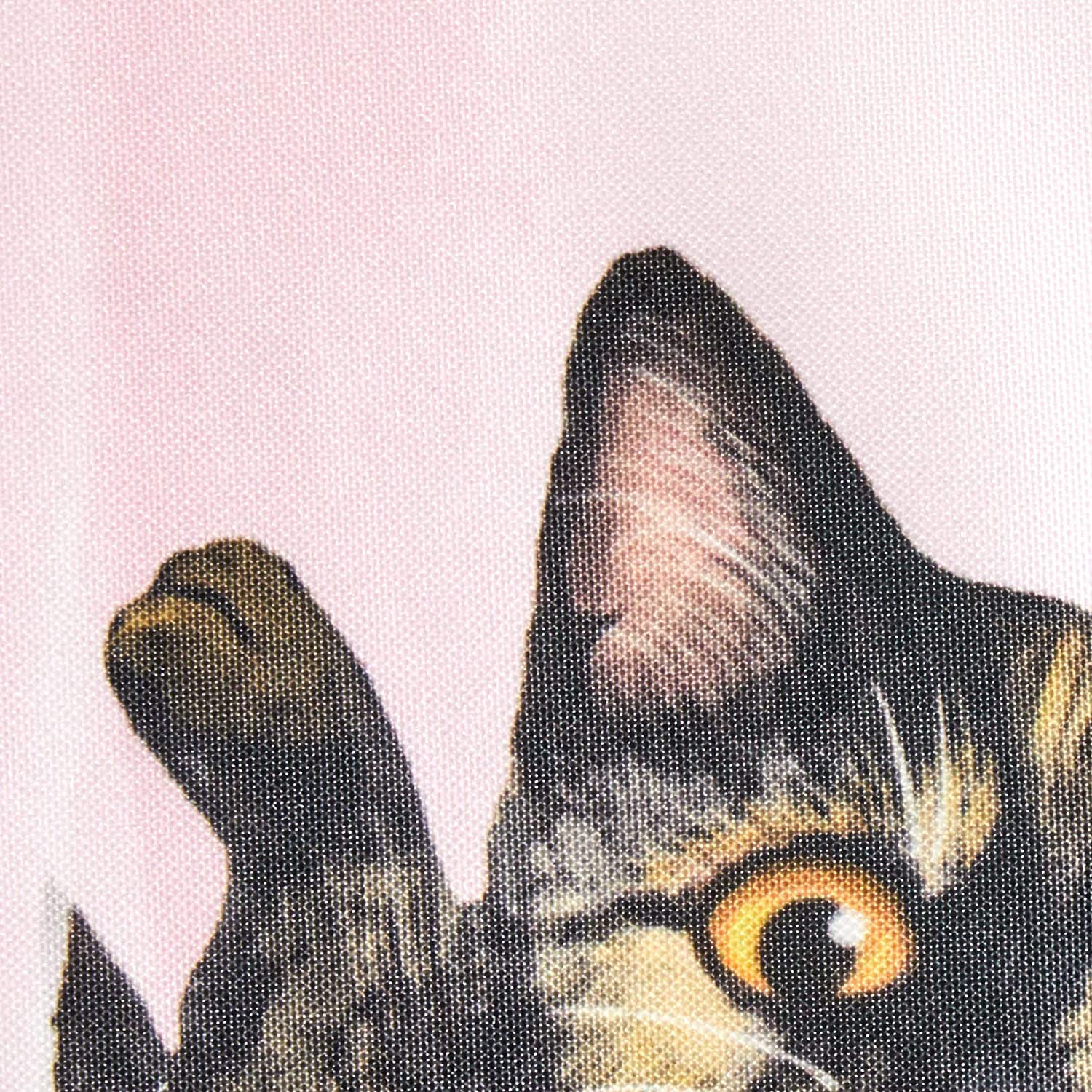 猫美様　フロントカーテンのみ Amazon | ボンフォーム(BONFORM) 車用カーテン フェリシモ猫部