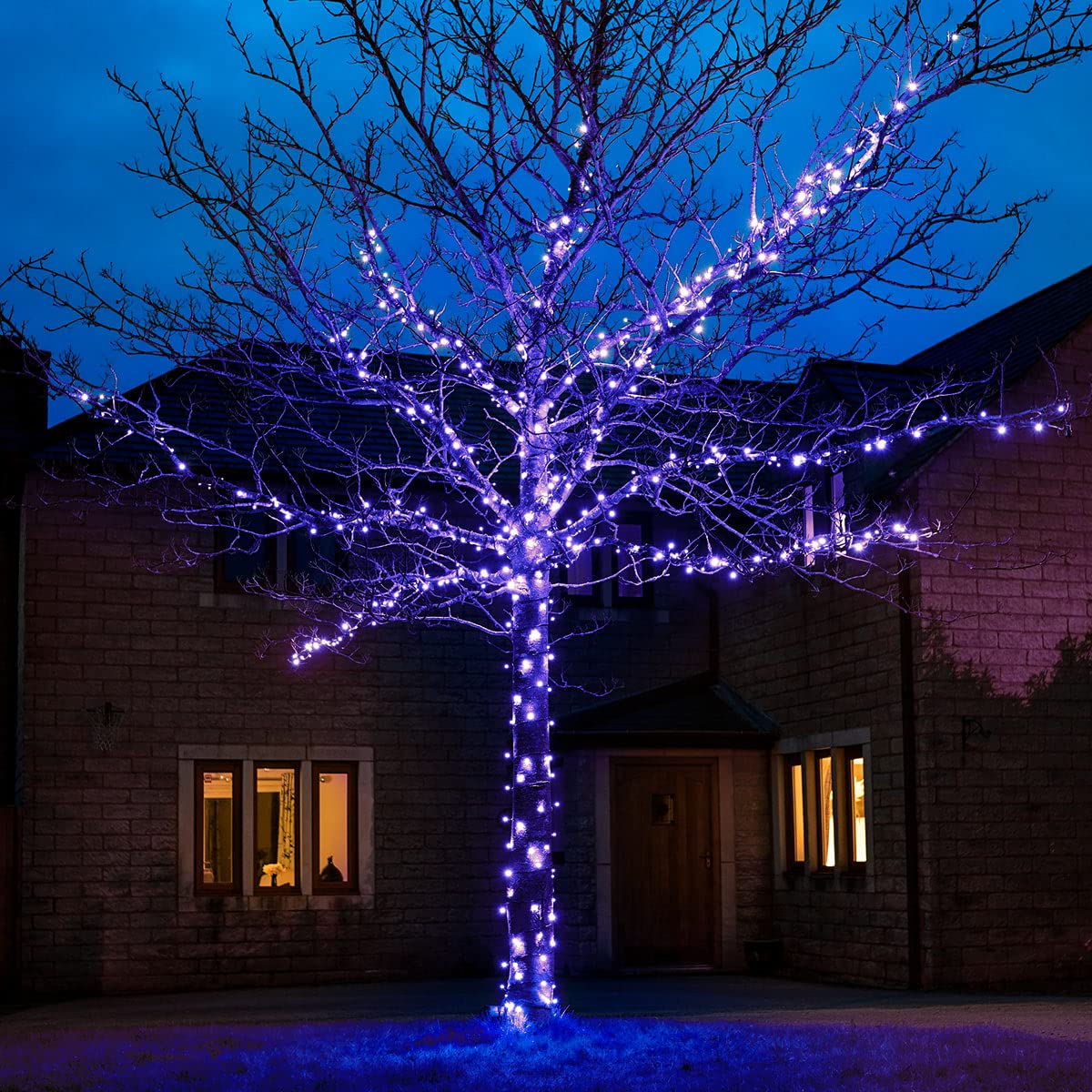 Festive Lights - ConnectGO Connectable Outdoor Fairy Lights - Mains Powered LED String Lighting - Christmas, Garden, Wedding & Party (Blue, 20m)